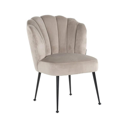 Pippa Dining Chair - Ideal Furniture ES