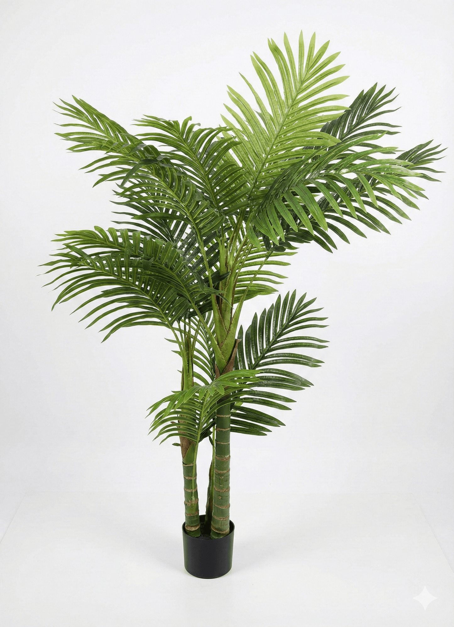 Palm tree - Ideal Furniture ES