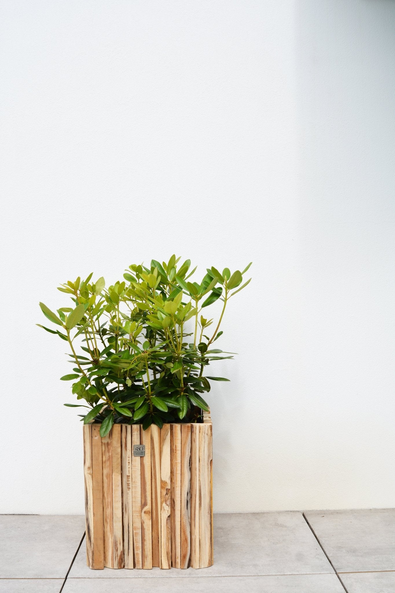 Miguel Planter Square Medium - Ideal Furniture ES