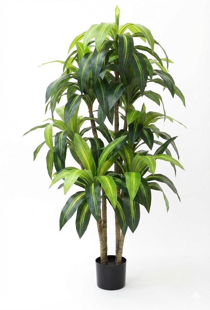 Brazilian walnut plant - Ideal Furniture ES